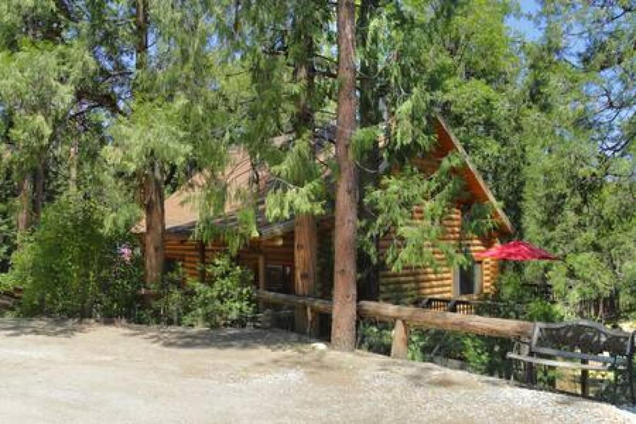 Eagles Nest - Natural Log Cabin With Guest House Idyllwild Exterior photo