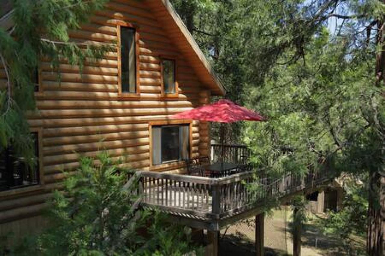Eagles Nest - Natural Log Cabin With Guest House Idyllwild Exterior photo